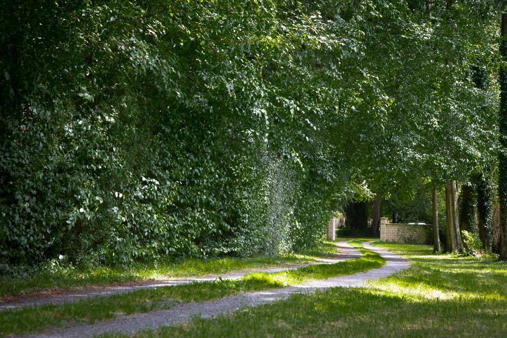 Tilly-sur-Seulles Magnifique Chateau Renove Proche Bourg Grand Parc Belle Terrasse Billard, Ping Pong, Proche Bayeux Et Plages Du Debarquement מראה חיצוני תמונה